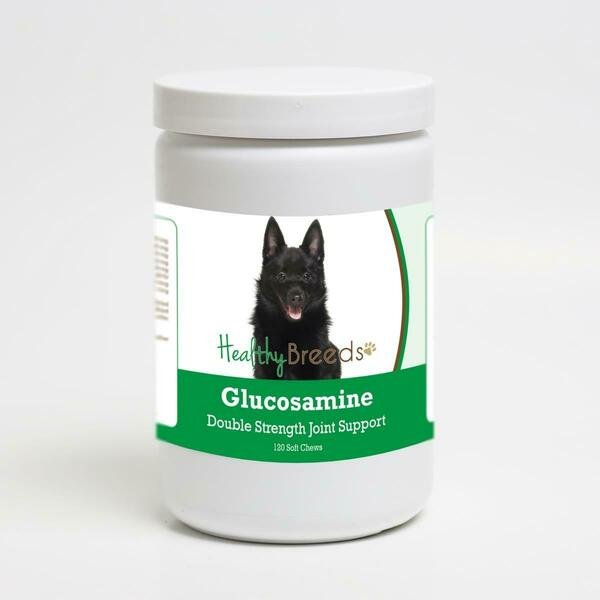 Schipperke Glucosamine DS Plus MSM, 120PK, Healthy Breeds, Mfr#: 192959015550